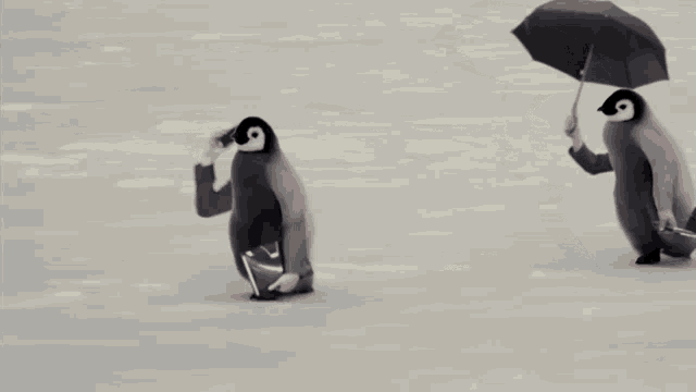 Penguin Gif - KibrisPDR