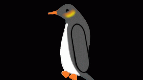 Detail Penguin Gif Nomer 56