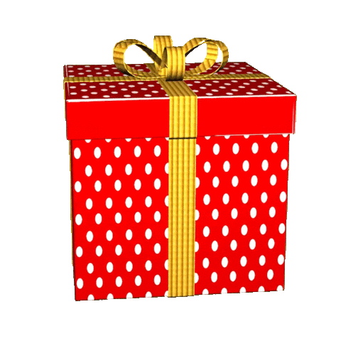 Detail Present Gift Nomer 56