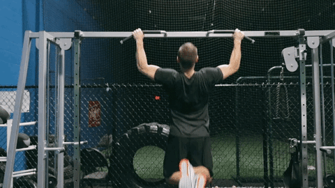 Detail Pull Up Gif Nomer 4