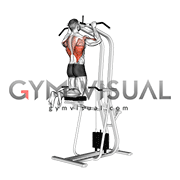 Detail Pull Up Gif Koleksi Nomer 55