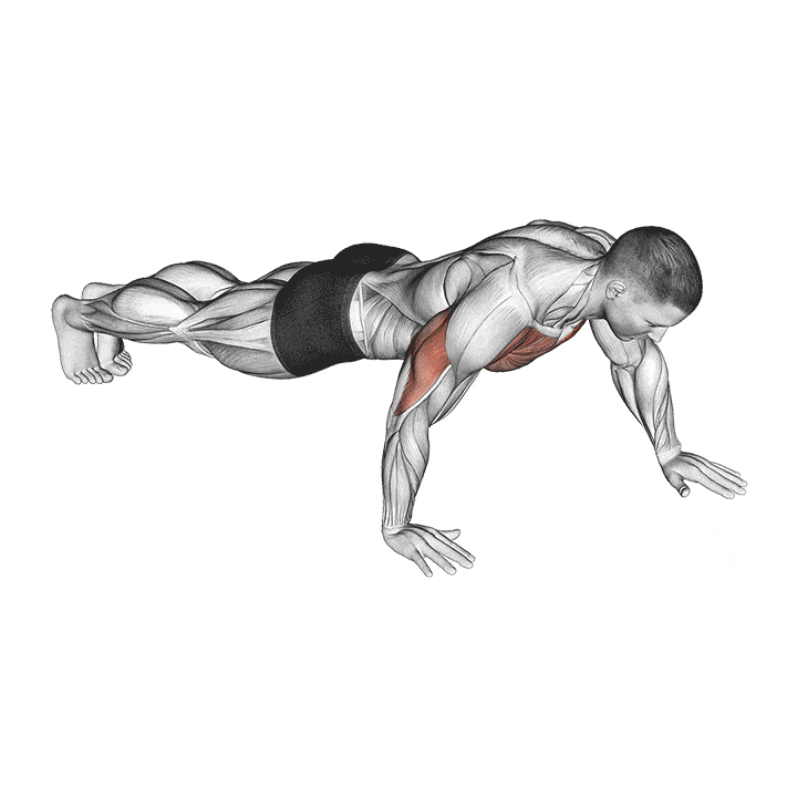 Detail Push Up Animasi Nomer 4