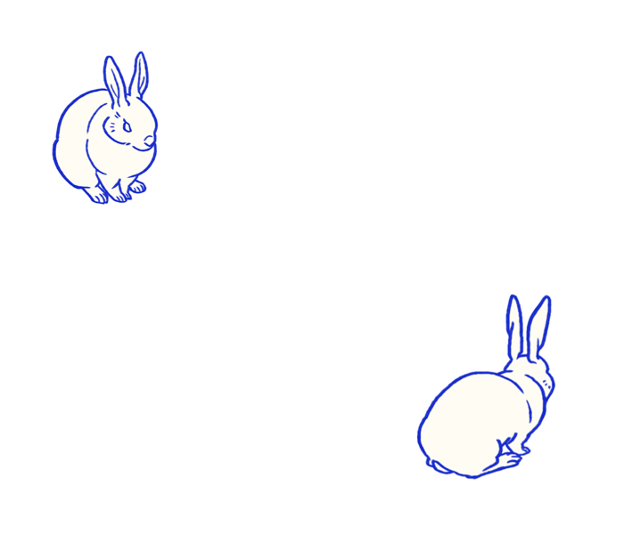 Detail Rabbit Animasi Nomer 11