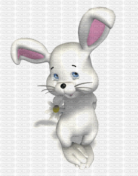 Detail Rabbit Animasi Nomer 30