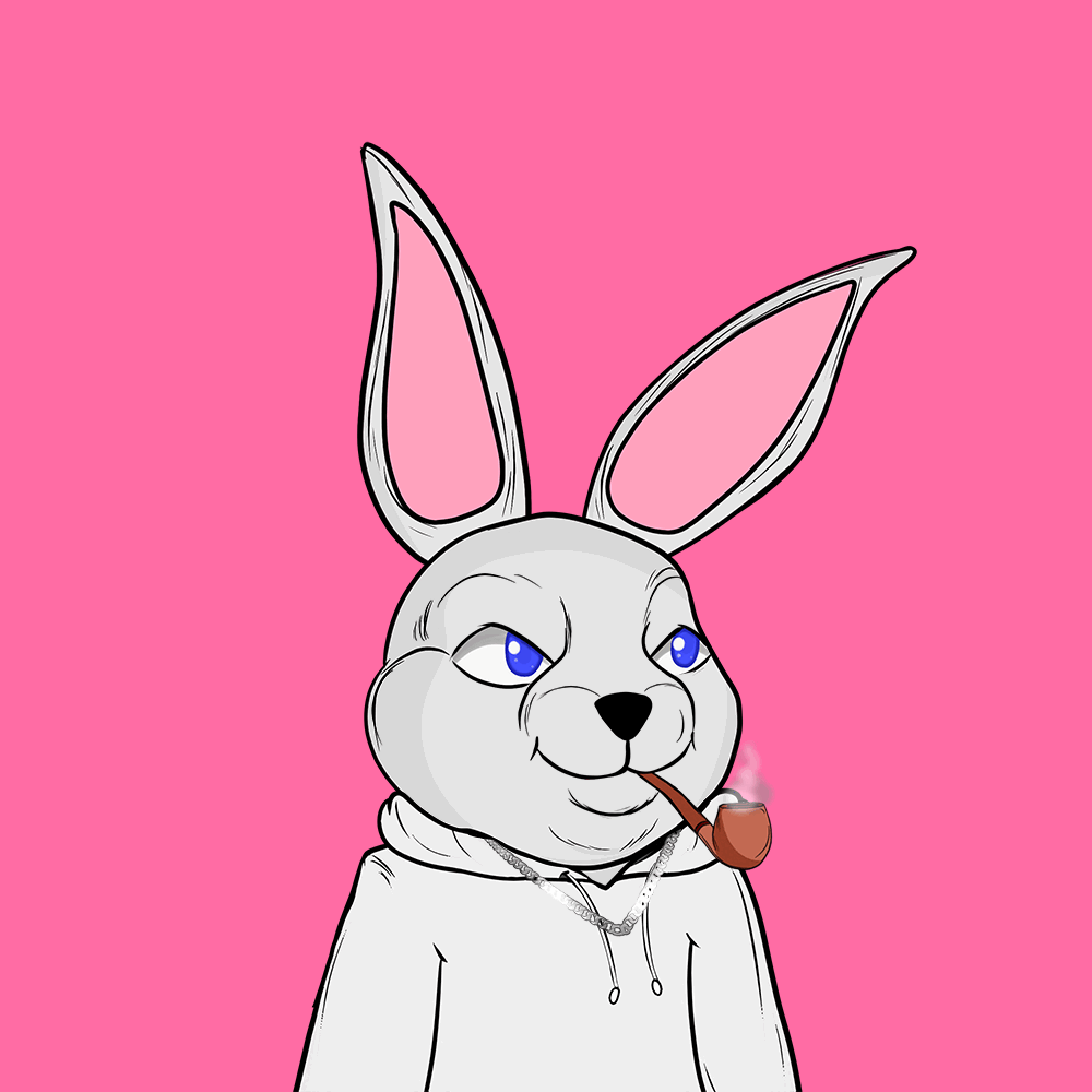 Detail Rabbit Animasi Nomer 34