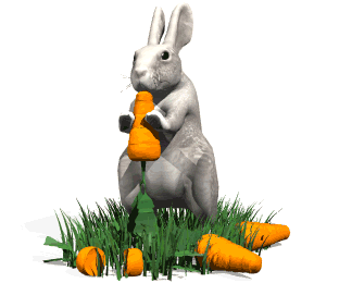 Detail Rabbit Animasi Nomer 36