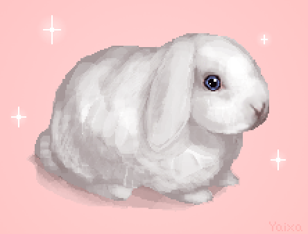 Detail Rabbit Animasi Nomer 39