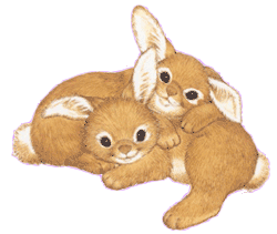 Detail Rabbit Animasi Nomer 5