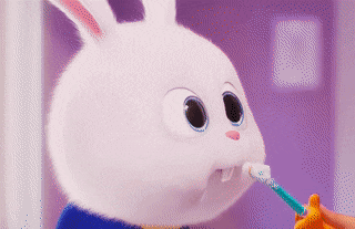 Detail Rabbit Animasi Nomer 8