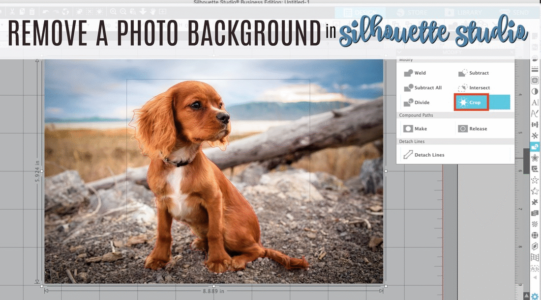 Detail Remove Background From Gif Online Nomer 51
