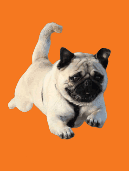 Detail Remove Gif Background Nomer 33