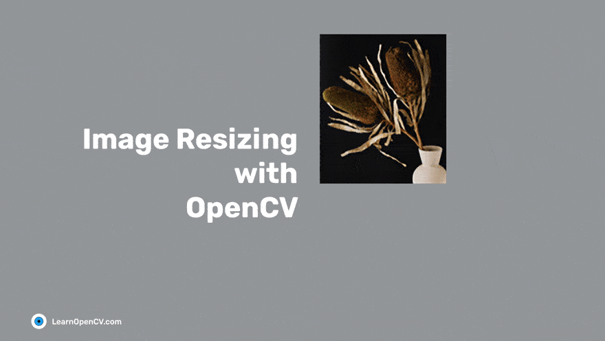 Detail Resize Animated Gif Nomer 34