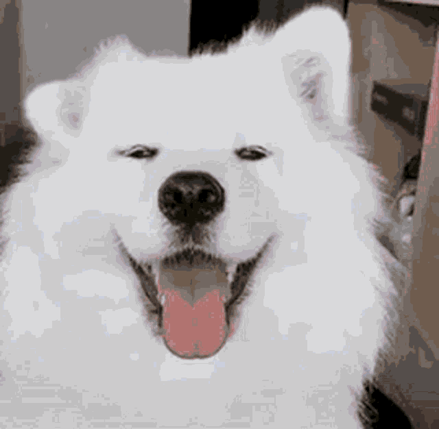 Detail Rick Roll Gif Nomer 21
