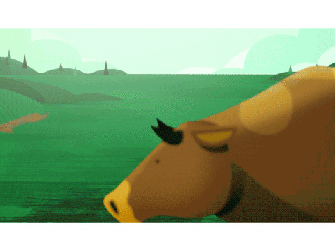 Detail Sapi Gif Nomer 17