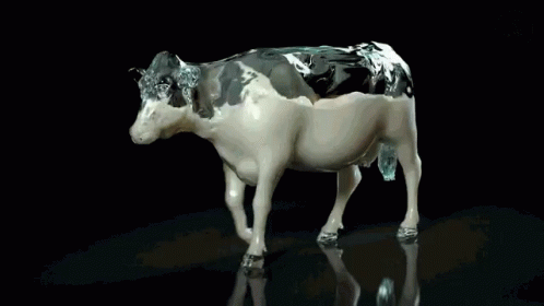 Detail Sapi Gif Nomer 28