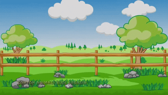 Detail Sapi Gif Nomer 48