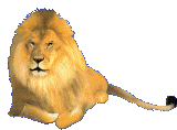 Singa Animasi - KibrisPDR