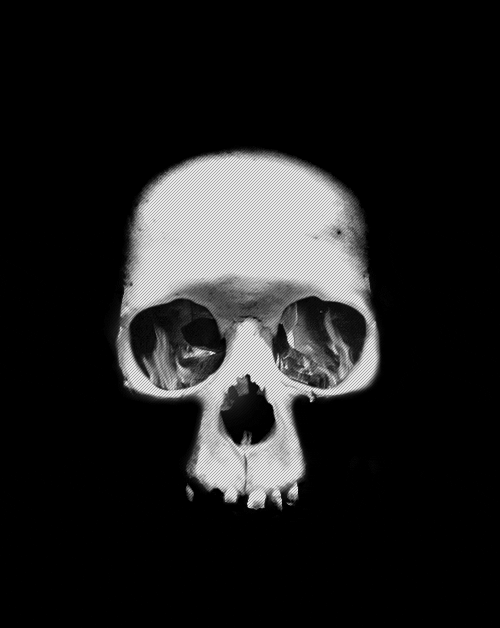 Detail Skull Gif Nomer 14