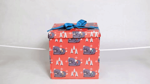 Detail Surprise Gift Box Nomer 43