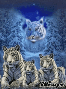 Detail Tiger Animasi Nomer 45