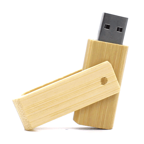 Detail Usb Gift Nomer 18