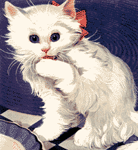 Detail Wallpaper Animasi Kucing Nomer 11