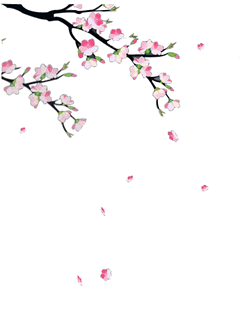 Detail Wallpaper Bunga Sakura Bergerak Nomer 2