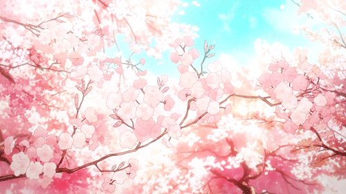 Detail Wallpaper Bunga Sakura Bergerak Nomer 22