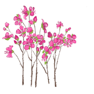 Detail Wallpaper Bunga Sakura Bergerak Nomer 33