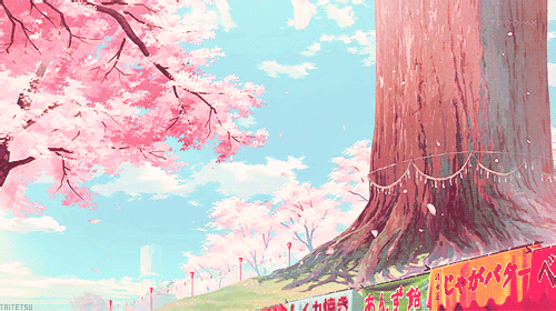 Detail Wallpaper Bunga Sakura Gugur Bergerak Nomer 16