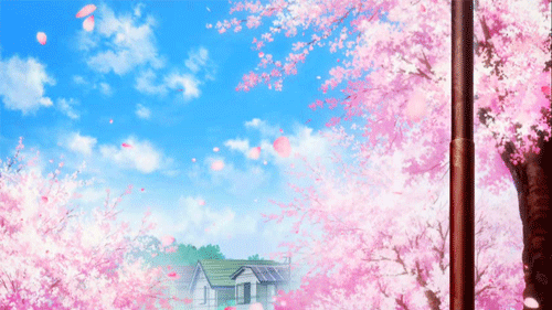 Detail Wallpaper Bunga Sakura Gugur Bergerak Nomer 22