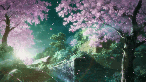 Detail Wallpaper Bunga Sakura Gugur Bergerak Nomer 6