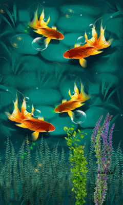 Detail Wallpaper Ikan Koi Bergerak Windows 7 Nomer 17