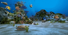 Detail Wallpaper Ikan Koi Bergerak Windows 7 Nomer 26