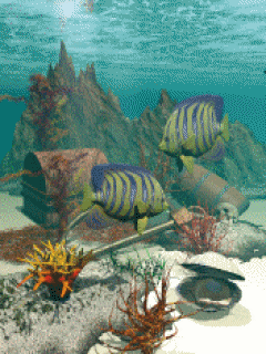 Detail Wallpaper Ikan Koi Bergerak Windows 7 Nomer 32