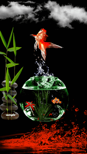 Detail Wallpaper Ikan Koi Bergerak Windows 7 Nomer 37