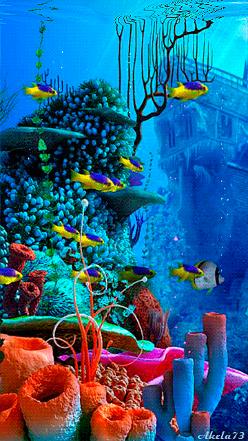 Detail Wallpaper Ikan Koi Bergerak Windows 7 Nomer 39