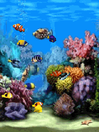 Detail Wallpaper Ikan Koi Bergerak Windows 7 Nomer 49