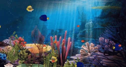 Detail Wallpaper Ikan Koi Bergerak Windows 7 Nomer 55