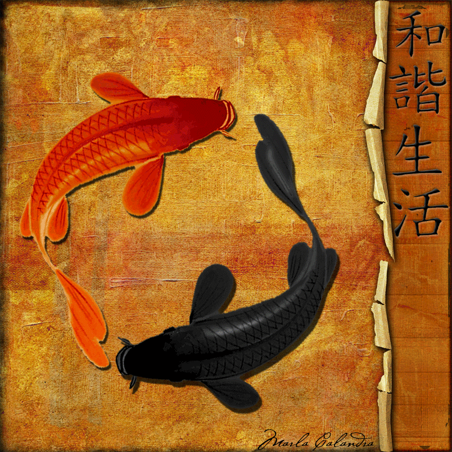 Detail Wallpaper Ikan Koi Bergerak Windows 7 Nomer 7