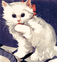 Detail Wallpaper Kartun Kucing Nomer 39