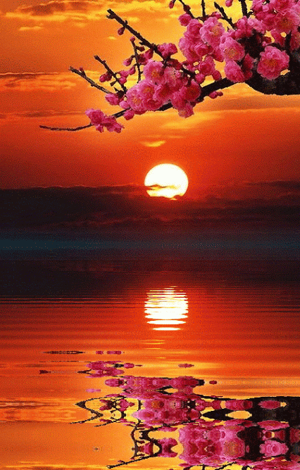 Detail Wallpaper Pemandangan Bergerak Gif Koleksi Nomer 4