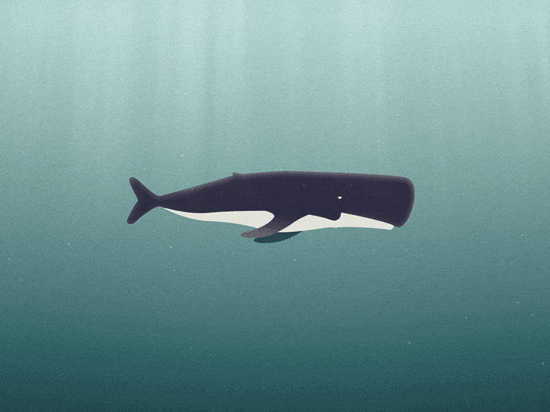 Detail Whale Gif Nomer 2