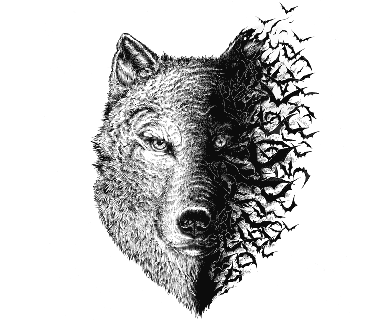 Detail Wolf Animasi Nomer 21