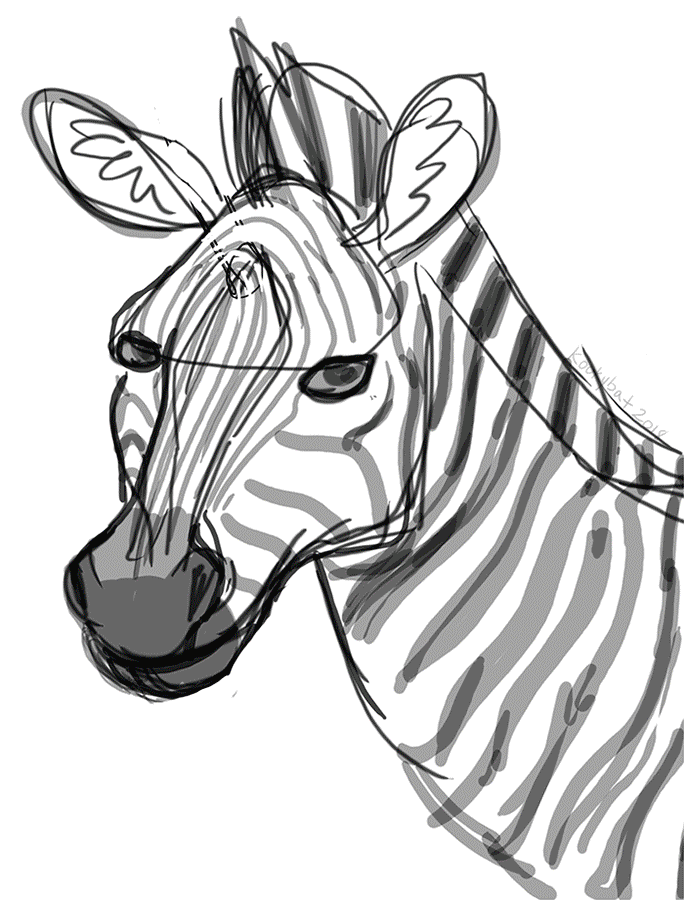 Detail Zebra Kartun Nomer 29