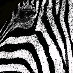 Detail Zebra Kartun Nomer 46