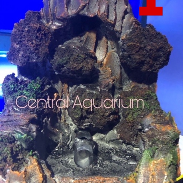 Detail Batu Air Terjun Aquarium Nomer 50