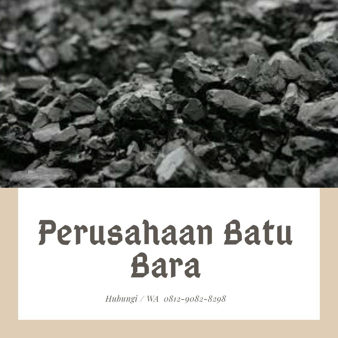 Detail Batu Bara Putih Nomer 4