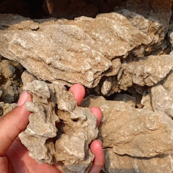 Detail Batu Fosil Pasir Nomer 26