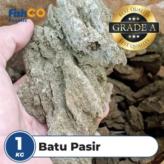 Detail Batu Fosil Pasir Nomer 34